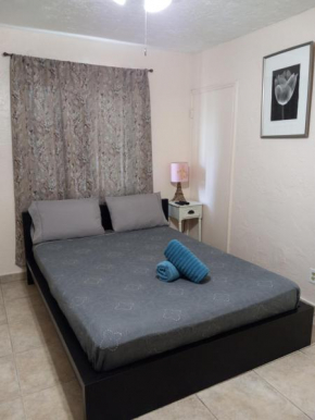 Hallandale Beach Studio Apartment